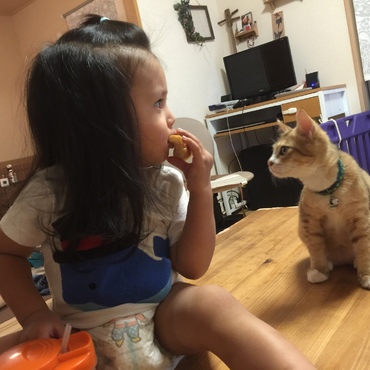 の写真