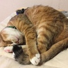 の写真