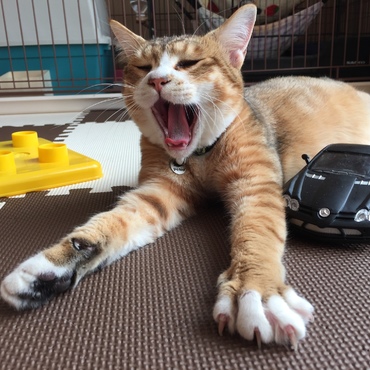 の写真