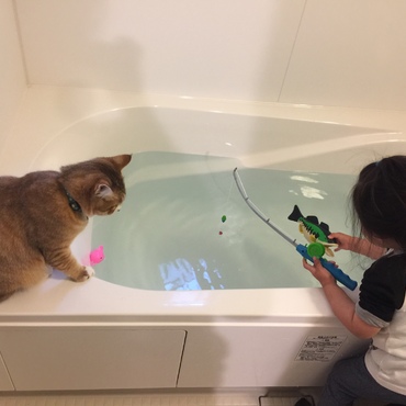 の写真