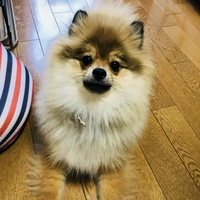 リン