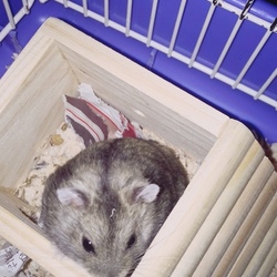 今日のりく君(´ v `)