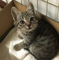 ★一時停止★甘えたさんのチーちゃん