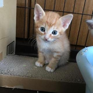 元気な男の子　総二郎です