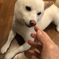 小太郎
