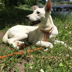 イタズラさえ嬉しいなんて！