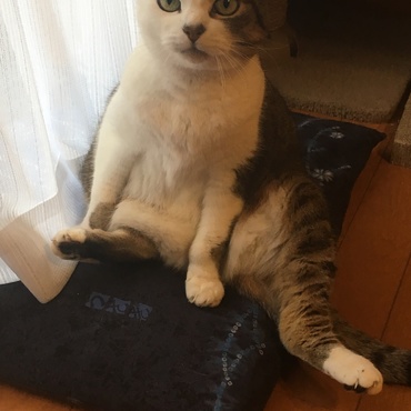 の写真