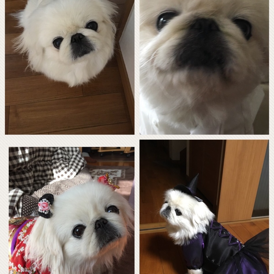 ふくのカバー写真