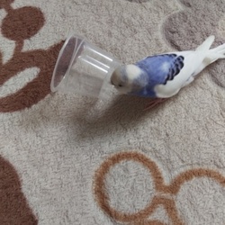 「通院終わり」サムネイル2