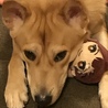 宝物、誰にも渡さないよ