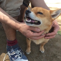 リキ