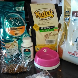 「アンディの体調不良(免疫力強化)」サムネイル2