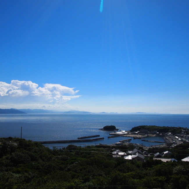 淡路ワンニャンクラブのカバー写真