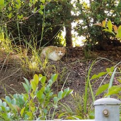 高速道路のパーキングエリアで保護
