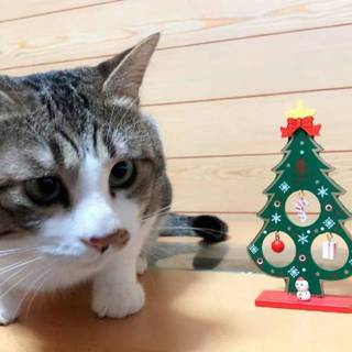 急ぎです！相談何でも乗ります！