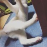 時々暴れん坊