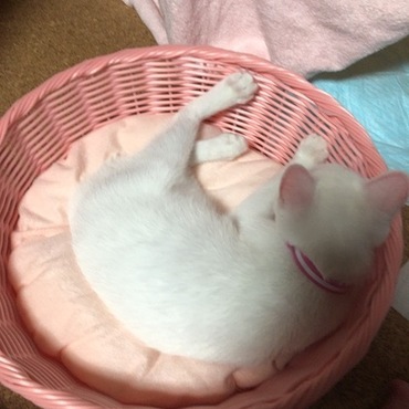 の写真