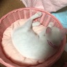 の写真