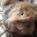 なっちゃん