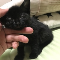 名無し