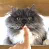 クー