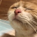 交渉中