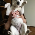 交渉中です