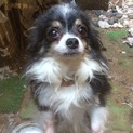 至急お願いします！