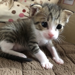 成長が著しい毎日です