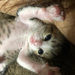 「成長が著しい毎日です」サムネイル2