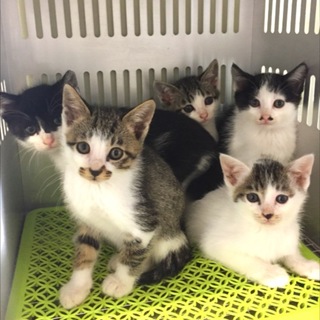 兄弟みんな家族ができました！有難うございました。