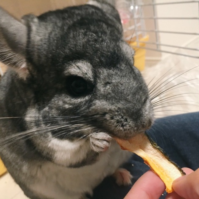 やぎぬまのカバー写真