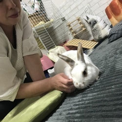 もこ