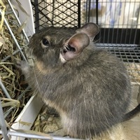 ミラクル