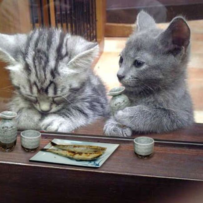 章芳のカバー写真