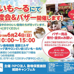 犬猫譲渡会&バザー