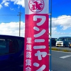 沖縄動物愛護団体 NPO法人動物たちを守る会ケルビム