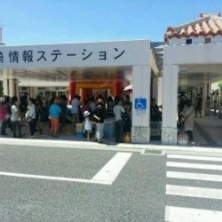 沖縄動物愛護団体 NPO法人動物たちを守る会ケルビム サムネイル2