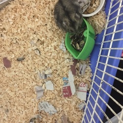 んー今日はやりすぎたかなぁー