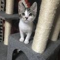 預かり様もメロメロです(●´ω｀●)