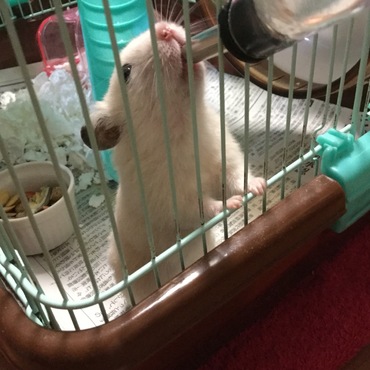 の写真