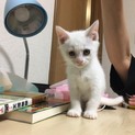 兄妹一緒に迎えていただきました！