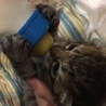 の写真