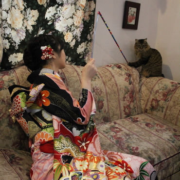 の写真