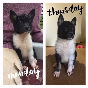 Max: before and after