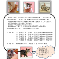 名古屋市動物愛護センター 猫の譲渡会