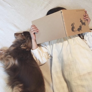 ダックス オス 去勢済 13歳  トライアル中