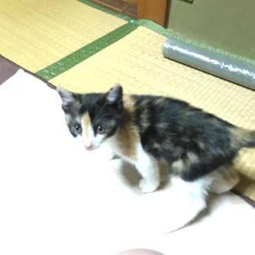 の写真