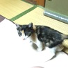 の写真