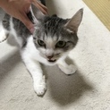 里親 募集